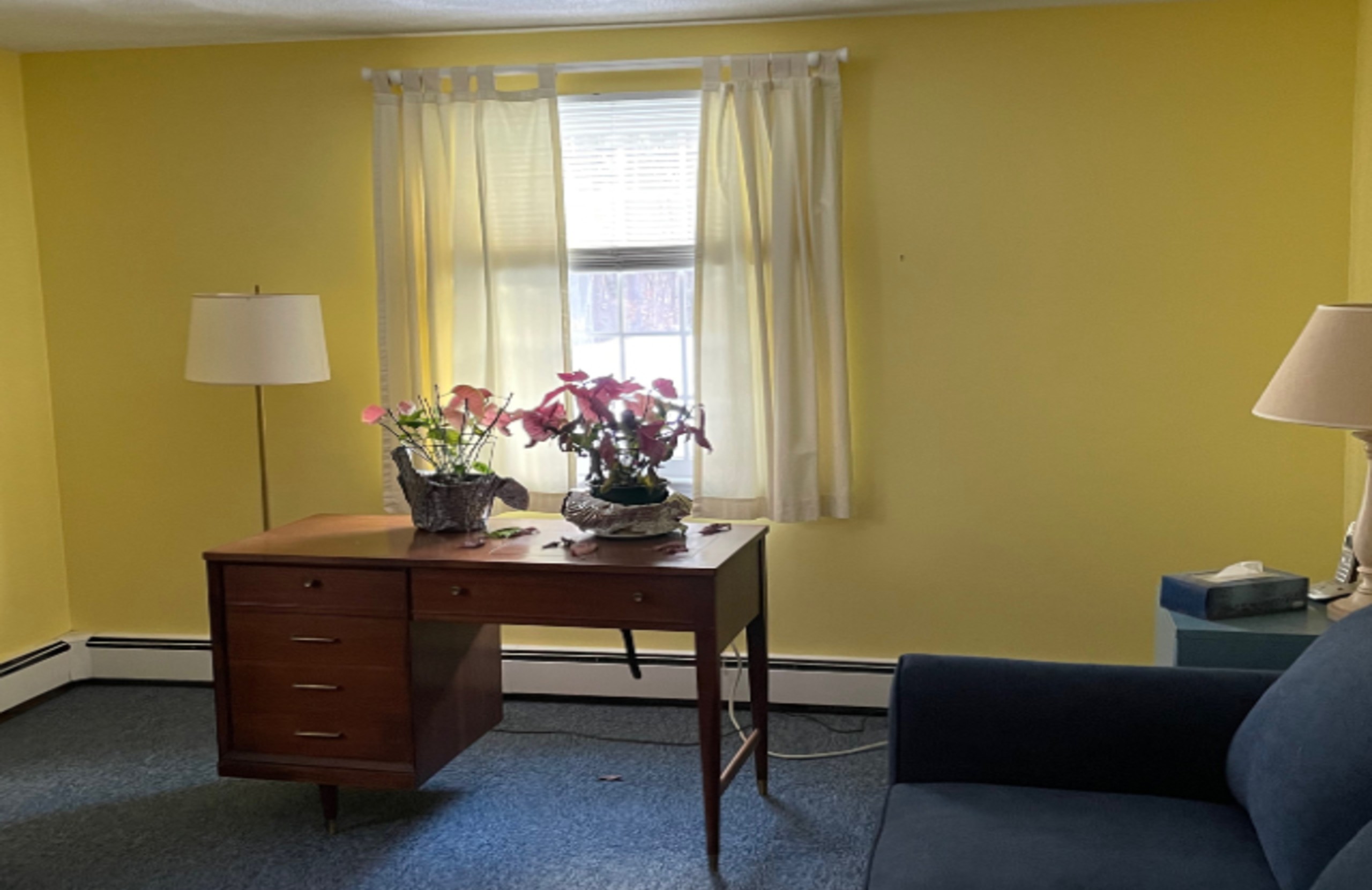 Interior House Painting